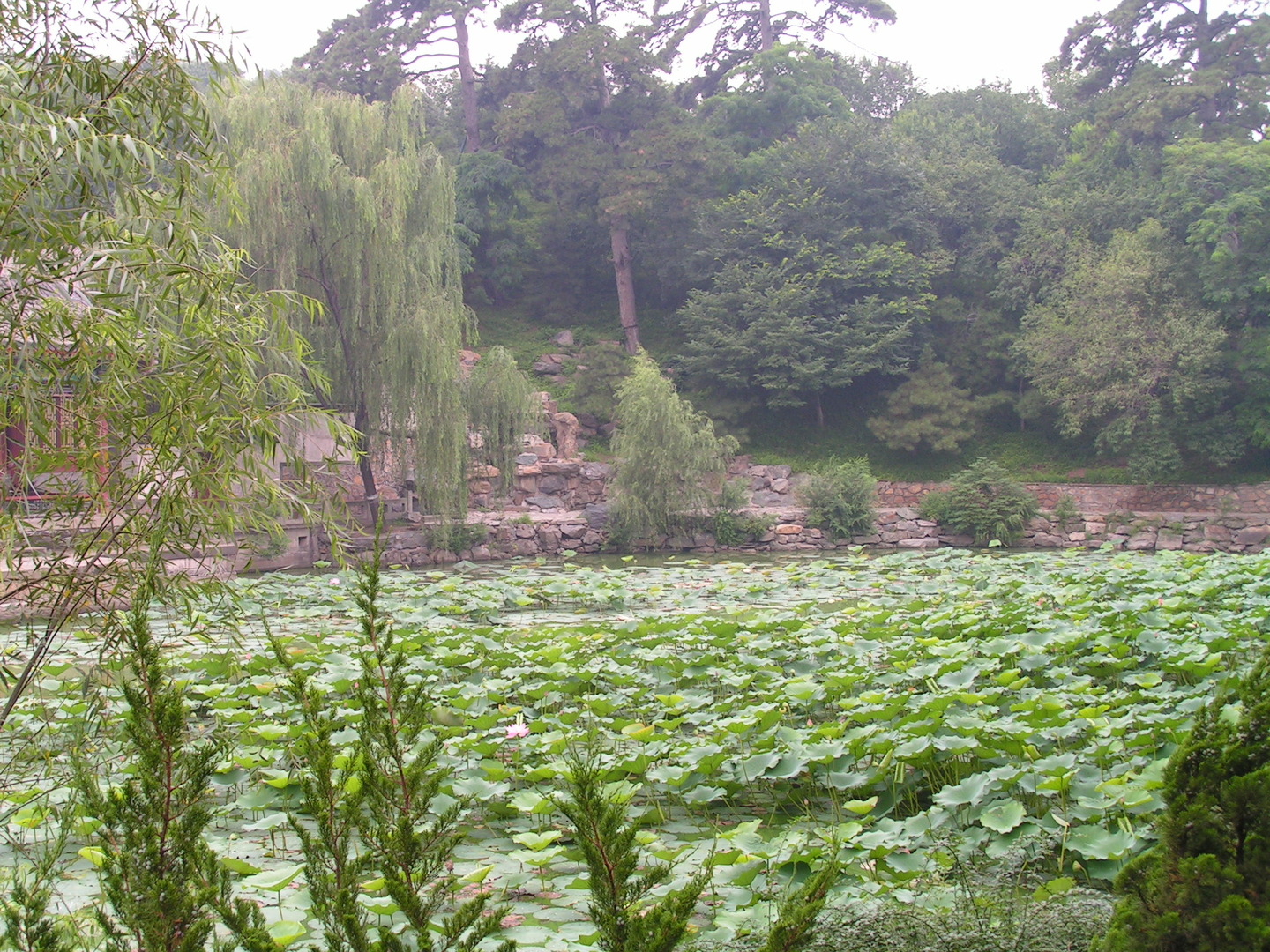 Beijing_20060724_043.jpg